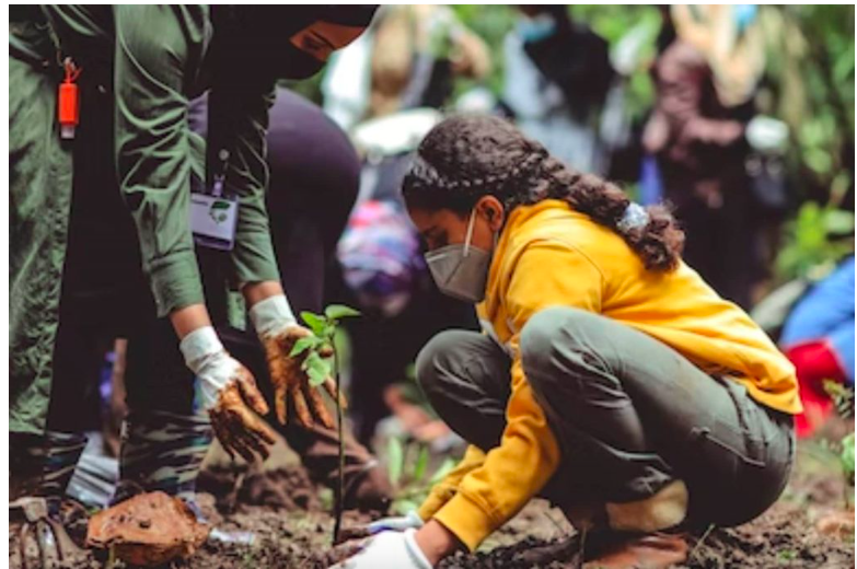 Your Trusted Partner in Diverse Sectors