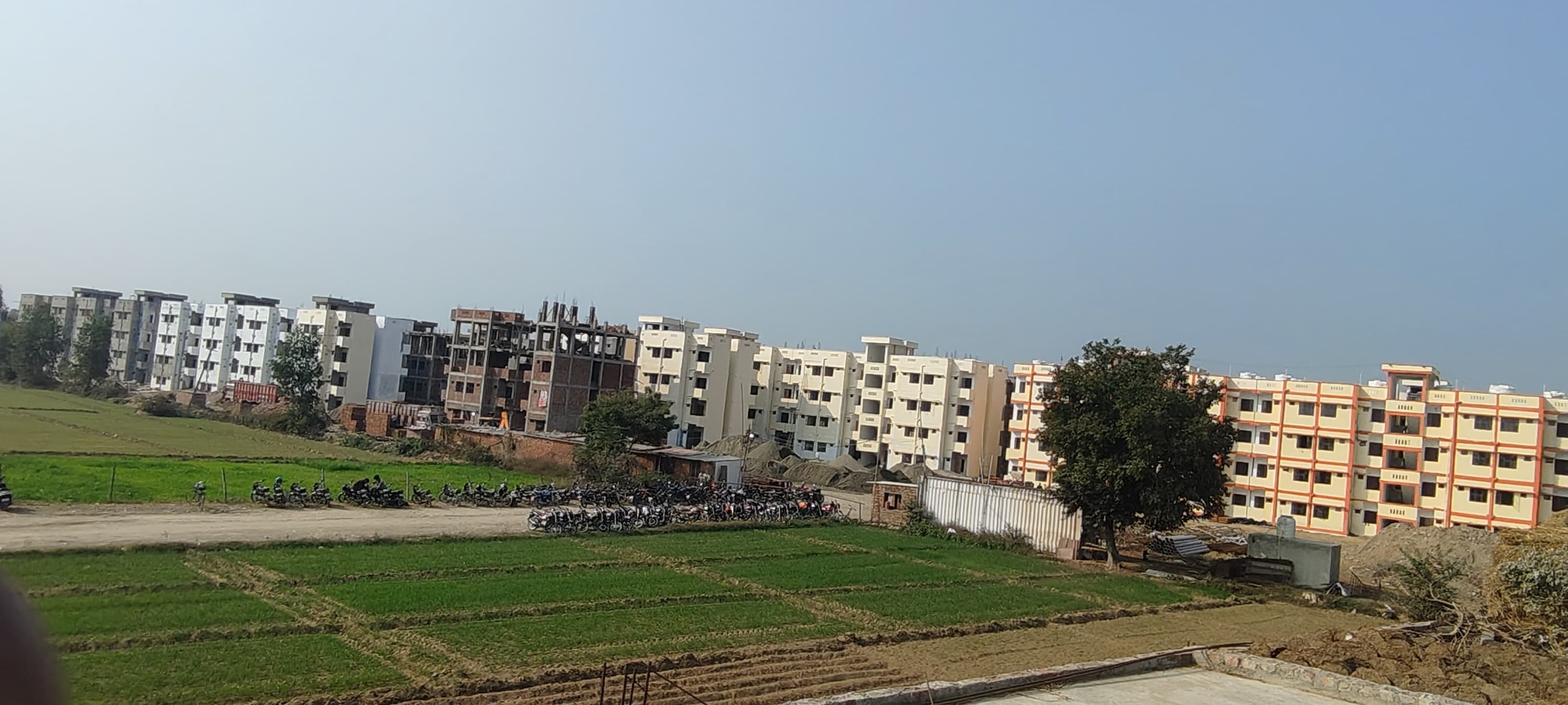 Government Projects and Contracts